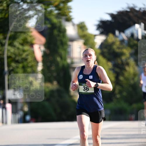 01.09.2024 - BARMER Alsterlauf Dr. Thomas Lammeyer http://msf.ph/oto/6887571 01.09.2024 09:20:45 Laufen 36 meine-sportfotos.de