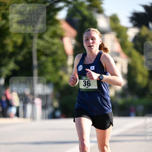 01.09.2024 - BARMER Alsterlauf Dr. Thomas Lammeyer http://msf.ph/oto/6887576 01.09.2024 09:20:46 Laufen 35, 36 meine-sportfotos.de