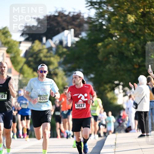 01.09.2024 - BARMER Alsterlauf Dr. Thomas Lammeyer http://msf.ph/oto/6887823 01.09.2024 09:21:50 Laufen 101, 30, 8331, 3827 meine-sportfotos.de