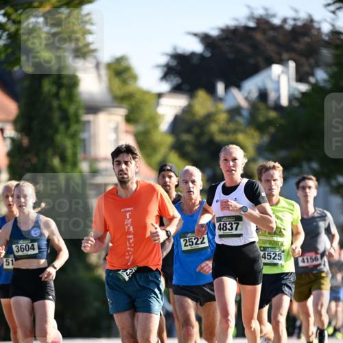 01.09.2024 - BARMER Alsterlauf Dr. Thomas Lammeyer http://msf.ph/oto/6887845 01.09.2024 09:21:54 Laufen 51, 3604, 2522, 4837, 4525, 4156 meine-sportfotos.de