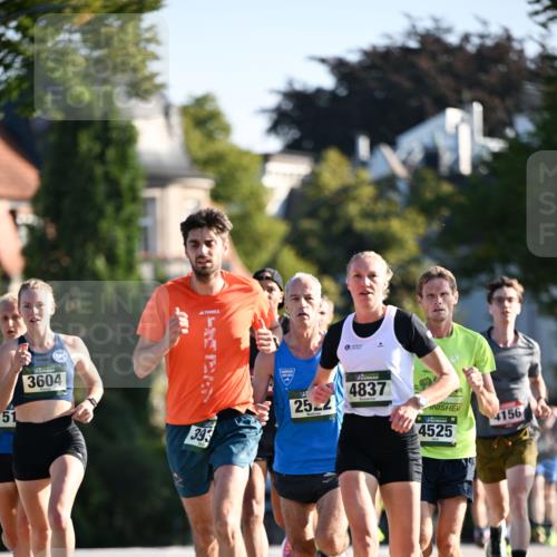 01.09.2024 - BARMER Alsterlauf Dr. Thomas Lammeyer http://msf.ph/oto/6887846 01.09.2024 09:21:54 Laufen 51, 3604, 393, 25, 2, 4837, 2, 4525, 4156 meine-sportfotos.de