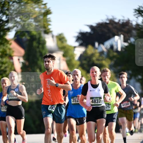 01.09.2024 - BARMER Alsterlauf Dr. Thomas Lammeyer http://msf.ph/oto/6887847 01.09.2024 09:21:55 Laufen 510, 360, 393, 14, 252, 4837, 25, 4156 meine-sportfotos.de