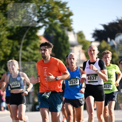 01.09.2024 - BARMER Alsterlauf Dr. Thomas Lammeyer http://msf.ph/oto/6887852 01.09.2024 09:21:56 Laufen 3604, 2522, 4837, 4525 meine-sportfotos.de