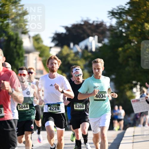 01.09.2024 - BARMER Alsterlauf Dr. Thomas Lammeyer http://msf.ph/oto/6887889 01.09.2024 09:22:02 Laufen 5044, 4229, 8360, 4034 meine-sportfotos.de