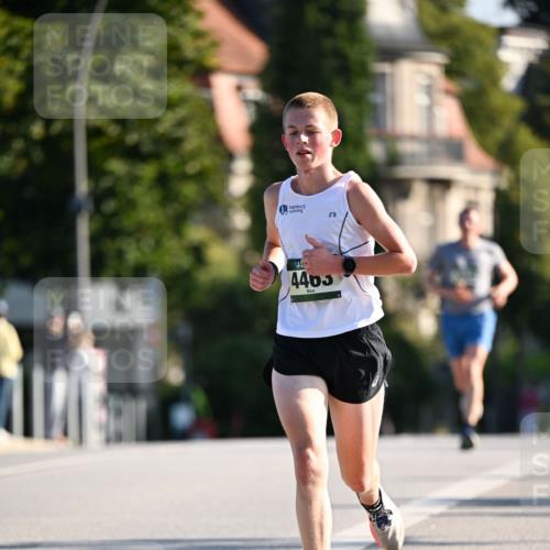 01.09.2024 - BARMER Alsterlauf Dr. Thomas Lammeyer http://msf.ph/oto/6887984 01.09.2024 09:22:21 Laufen 4465 meine-sportfotos.de
