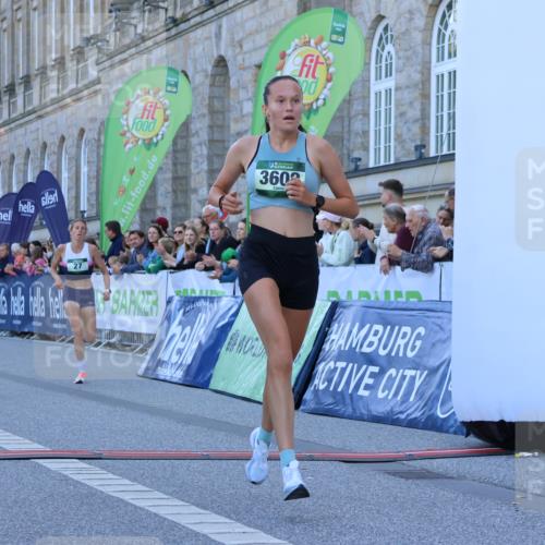 01.09.2024 - BARMER Alsterlauf Strokosch-Dieckow http://msf.ph/oto/6888223 01.09.2024 09:34:46 Ziel 27, 28, 3608, 4146, 5275 meine-sportfotos.de