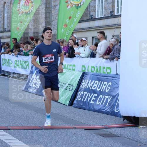 01.09.2024 - BARMER Alsterlauf Strokosch-Dieckow http://msf.ph/oto/6888328 01.09.2024 09:36:00 Ziel 2906, 5095, 5267 meine-sportfotos.de