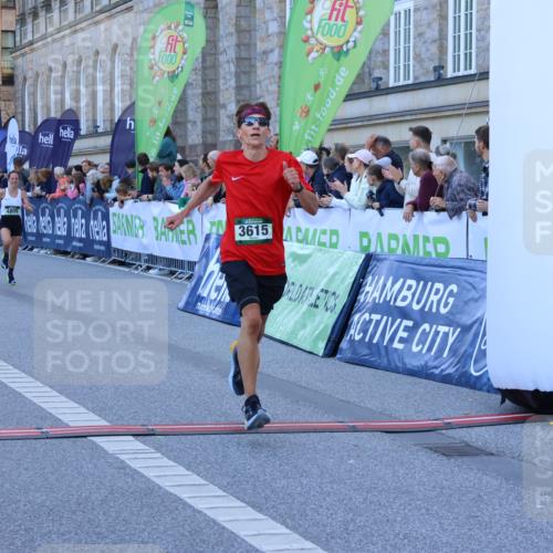 01.09.2024 - BARMER Alsterlauf Strokosch-Dieckow http://msf.ph/oto/6888909 01.09.2024 09:41:03 Ziel 3615, 4521, 4797, 4805, 5046, 5170, 8276 meine-sportfotos.de