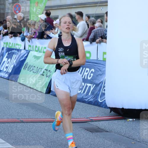 01.09.2024 - BARMER Alsterlauf Strokosch-Dieckow http://msf.ph/oto/6889724 01.09.2024 09:47:48 Ziel 2080, 2720, 3064, 4064, 4159, 4249, 5004, 8221, 8241 meine-sportfotos.de