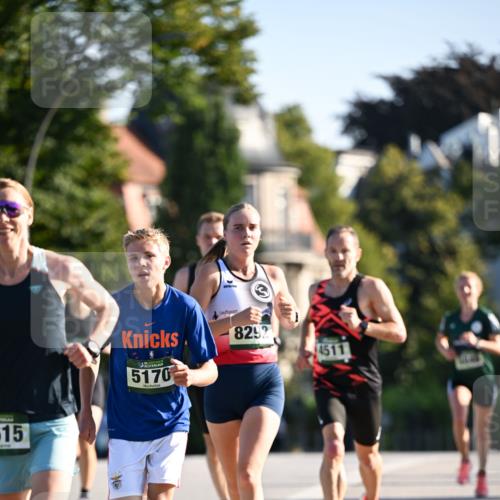 01.09.2024 - BARMER Alsterlauf Dr. Thomas Lammeyer http://msf.ph/oto/6891767 01.09.2024 09:22:43 Laufen 515, 8292, 4511, 5170 meine-sportfotos.de
