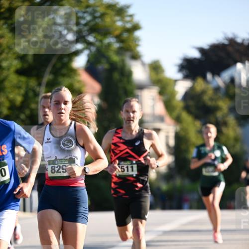 01.09.2024 - BARMER Alsterlauf Dr. Thomas Lammeyer http://msf.ph/oto/6891774 01.09.2024 09:22:44 Laufen 0, 15, 829, 511 meine-sportfotos.de