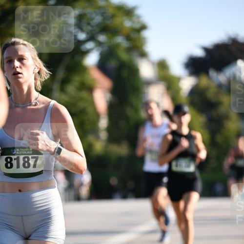 01.09.2024 - BARMER Alsterlauf Dr. Thomas Lammeyer http://msf.ph/oto/6892216 01.09.2024 09:24:09 Laufen 35, 8187 meine-sportfotos.de