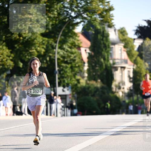 01.09.2024 - BARMER Alsterlauf Dr. Thomas Lammeyer http://msf.ph/oto/6892291 01.09.2024 09:24:22 Laufen 3524 meine-sportfotos.de