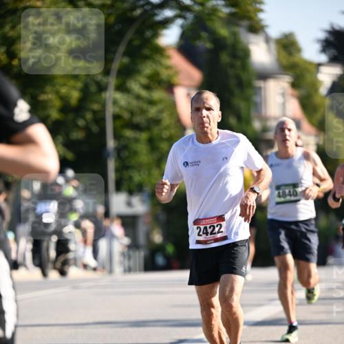 01.09.2024 - BARMER Alsterlauf Dr. Thomas Lammeyer http://msf.ph/oto/6892416 01.09.2024 09:24:44 Laufen 2422, 4840 meine-sportfotos.de