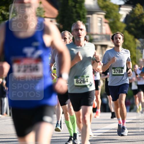 01.09.2024 - BARMER Alsterlauf Dr. Thomas Lammeyer http://msf.ph/oto/6892559 01.09.2024 09:25:08 Laufen 7204, 8264, 3788 meine-sportfotos.de
