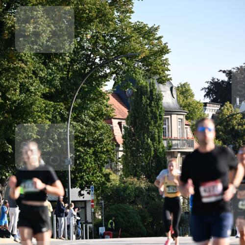 01.09.2024 - BARMER Alsterlauf Dr. Thomas Lammeyer http://msf.ph/oto/6892620 01.09.2024 09:25:19 Laufen  meine-sportfotos.de