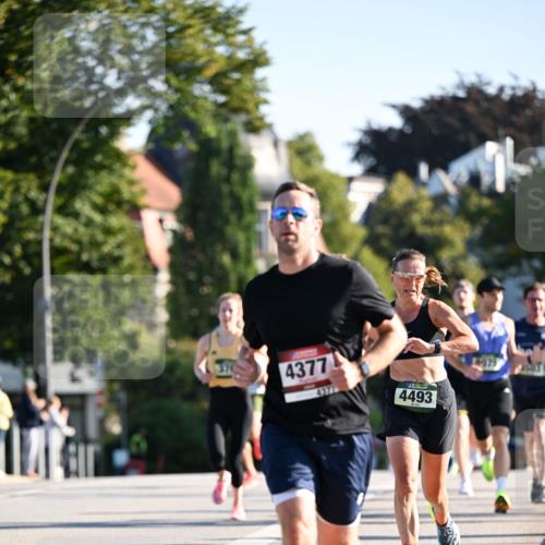 01.09.2024 - BARMER Alsterlauf Dr. Thomas Lammeyer http://msf.ph/oto/6892622 01.09.2024 09:25:19 Laufen 4377, 4377, 4493, 14075, 601 meine-sportfotos.de