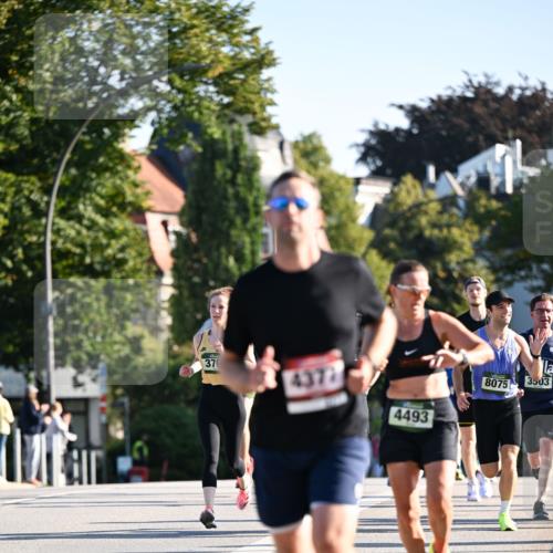 01.09.2024 - BARMER Alsterlauf Dr. Thomas Lammeyer http://msf.ph/oto/6892624 01.09.2024 09:25:19 Laufen 376, 4372, 8075, 3503, 4493 meine-sportfotos.de