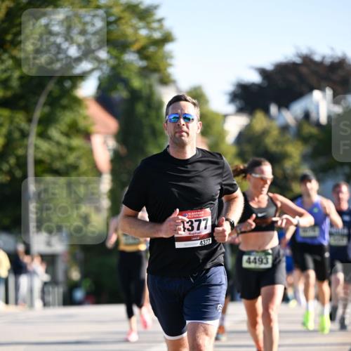 01.09.2024 - BARMER Alsterlauf Dr. Thomas Lammeyer http://msf.ph/oto/6892625 01.09.2024 09:25:19 Laufen 1377, 4377, 4493 meine-sportfotos.de