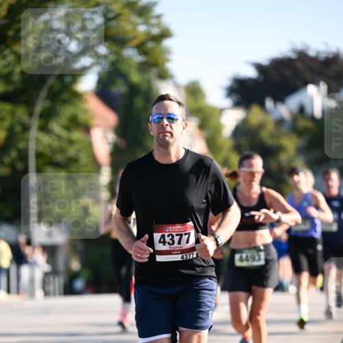 01.09.2024 - BARMER Alsterlauf Dr. Thomas Lammeyer http://msf.ph/oto/6892626 01.09.2024 09:25:20 Laufen 4377, 4377, 4493 meine-sportfotos.de