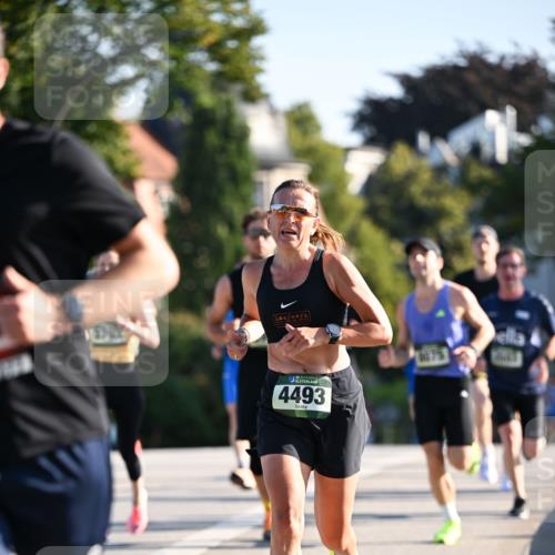 01.09.2024 - BARMER Alsterlauf Dr. Thomas Lammeyer http://msf.ph/oto/6892630 01.09.2024 09:25:20 Laufen 4493, 0175 meine-sportfotos.de