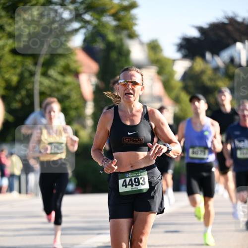 01.09.2024 - BARMER Alsterlauf Dr. Thomas Lammeyer http://msf.ph/oto/6892635 01.09.2024 09:25:21 Laufen 35, 4493, 4079 meine-sportfotos.de