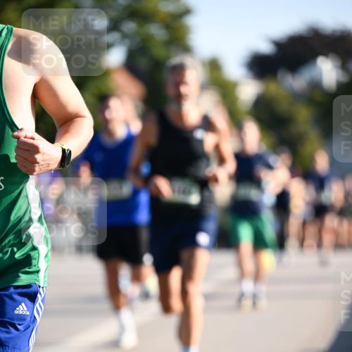 01.09.2024 - BARMER Alsterlauf Dr. Thomas Lammeyer http://msf.ph/oto/6892842 01.09.2024 09:25:55 Laufen  meine-sportfotos.de