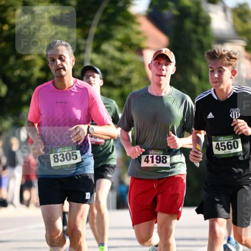 01.09.2024 - BARMER Alsterlauf Dr. Thomas Lammeyer http://msf.ph/oto/6893022 01.09.2024 09:26:25 Laufen 35, 8305, 35, 4198, 35, 4560 meine-sportfotos.de