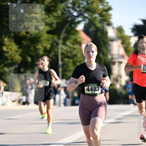 01.09.2024 - BARMER Alsterlauf Dr. Thomas Lammeyer http://msf.ph/oto/6893061 01.09.2024 09:26:32 Laufen 135, 4483, 32 meine-sportfotos.de