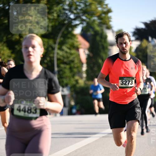 01.09.2024 - BARMER Alsterlauf Dr. Thomas Lammeyer http://msf.ph/oto/6893068 01.09.2024 09:26:33 Laufen 4483, 3273 meine-sportfotos.de