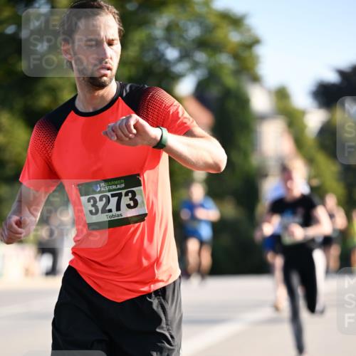 01.09.2024 - BARMER Alsterlauf Dr. Thomas Lammeyer http://msf.ph/oto/6893080 01.09.2024 09:26:34 Laufen 35, 3273 meine-sportfotos.de