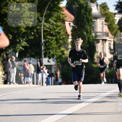 01.09.2024 - BARMER Alsterlauf Dr. Thomas Lammeyer http://msf.ph/oto/6893265 01.09.2024 09:27:03 Laufen 4020, 2080 meine-sportfotos.de