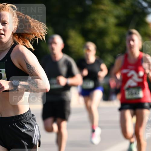 01.09.2024 - BARMER Alsterlauf Dr. Thomas Lammeyer http://msf.ph/oto/6893336 01.09.2024 09:27:15 Laufen  meine-sportfotos.de