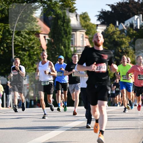 01.09.2024 - BARMER Alsterlauf Dr. Thomas Lammeyer http://msf.ph/oto/6893391 01.09.2024 09:27:25 Laufen 2469, 5002, 4324, 3, 2314, 316, 8278 meine-sportfotos.de
