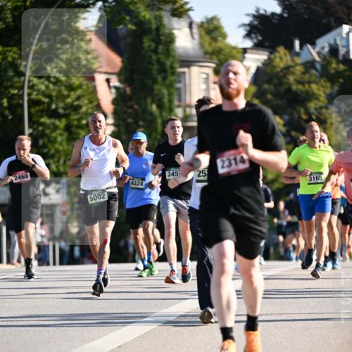 01.09.2024 - BARMER Alsterlauf Dr. Thomas Lammeyer http://msf.ph/oto/6893393 01.09.2024 09:27:26 Laufen 2469, 00, 3459, 25, 324, 5002, 2314, 3165 meine-sportfotos.de
