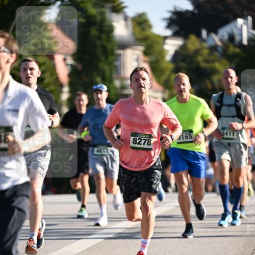01.09.2024 - BARMER Alsterlauf Dr. Thomas Lammeyer http://msf.ph/oto/6893406 01.09.2024 09:27:28 Laufen 38, 8278, 165 meine-sportfotos.de