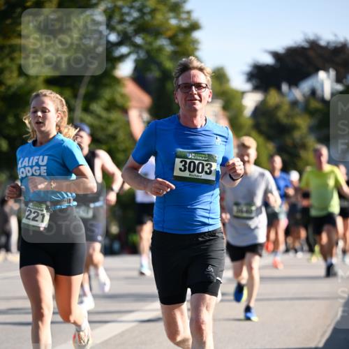 01.09.2024 - BARMER Alsterlauf Dr. Thomas Lammeyer http://msf.ph/oto/6893451 01.09.2024 09:27:36 Laufen 35, 3003, 221 meine-sportfotos.de