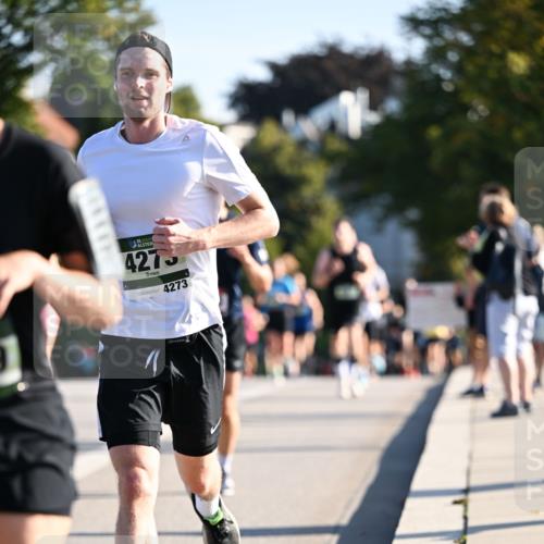 01.09.2024 - BARMER Alsterlauf Dr. Thomas Lammeyer http://msf.ph/oto/6893495 01.09.2024 09:27:43 Laufen 5, 4275, 4273 meine-sportfotos.de