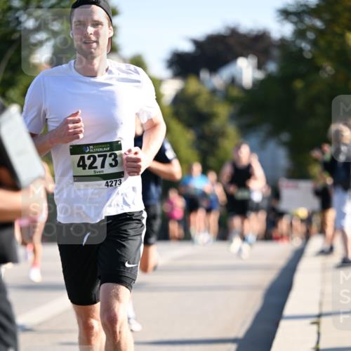 01.09.2024 - BARMER Alsterlauf Dr. Thomas Lammeyer http://msf.ph/oto/6893497 01.09.2024 09:27:44 Laufen 35, 4273, 4273 meine-sportfotos.de