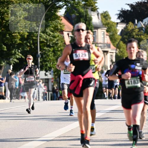01.09.2024 - BARMER Alsterlauf Dr. Thomas Lammeyer http://msf.ph/oto/6893722 01.09.2024 09:28:22 Laufen 2189, 515, 5129, 4183 meine-sportfotos.de