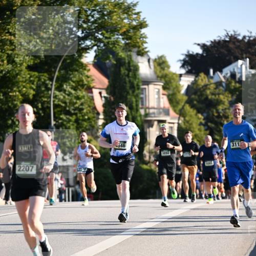 01.09.2024 - BARMER Alsterlauf Dr. Thomas Lammeyer http://msf.ph/oto/6893786 01.09.2024 09:28:35 Laufen 2207, 546, 3892, 2773, 5083, 311 meine-sportfotos.de