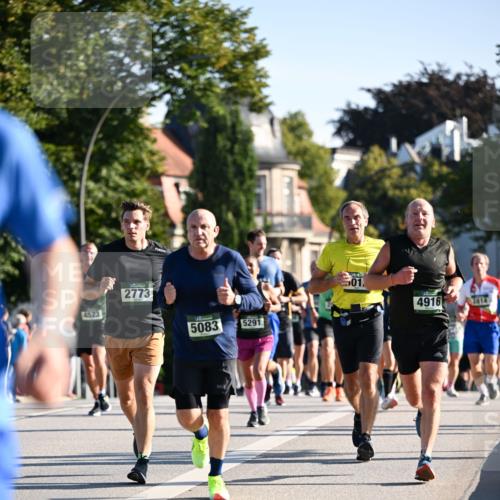 01.09.2024 - BARMER Alsterlauf Dr. Thomas Lammeyer http://msf.ph/oto/6893814 01.09.2024 09:28:40 Laufen 4523, 2773, 5083, 5291, 01, 4916, 2014 meine-sportfotos.de