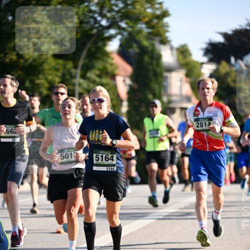 01.09.2024 - BARMER Alsterlauf Dr. Thomas Lammeyer http://msf.ph/oto/6893841 01.09.2024 09:28:45 Laufen 662, 466, 501, 5164, 5164, 2814 meine-sportfotos.de