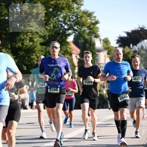 01.09.2024 - BARMER Alsterlauf Dr. Thomas Lammeyer http://msf.ph/oto/6893982 01.09.2024 09:29:11 Laufen 2480, 5305, 2310, 2564, 4846, 4623 meine-sportfotos.de