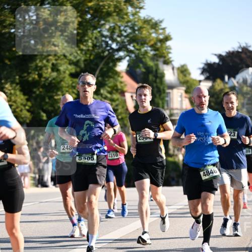 01.09.2024 - BARMER Alsterlauf Dr. Thomas Lammeyer http://msf.ph/oto/6893983 01.09.2024 09:29:12 Laufen 248, 5305, 2310, 250, 23, 4846, 89 meine-sportfotos.de