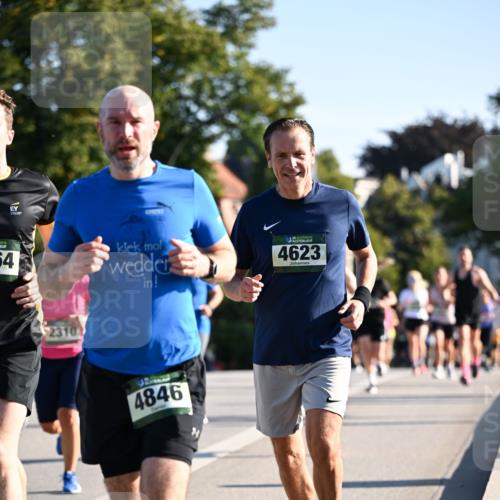 01.09.2024 - BARMER Alsterlauf Dr. Thomas Lammeyer http://msf.ph/oto/6893995 01.09.2024 09:29:13 Laufen 54, 4623, 2310, 4846 meine-sportfotos.de
