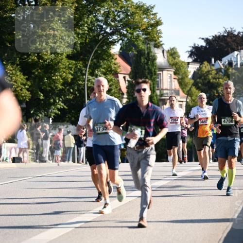 01.09.2024 - BARMER Alsterlauf Dr. Thomas Lammeyer http://msf.ph/oto/6894074 01.09.2024 09:29:27 Laufen 3735, 2364, 101, 3647, 4780 meine-sportfotos.de
