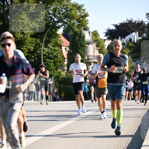 01.09.2024 - BARMER Alsterlauf Dr. Thomas Lammeyer http://msf.ph/oto/6894084 01.09.2024 09:29:28 Laufen 3379, 2364, 3647, 780, 2712 meine-sportfotos.de