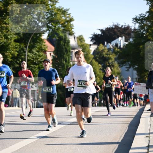 01.09.2024 - BARMER Alsterlauf Dr. Thomas Lammeyer http://msf.ph/oto/6894140 01.09.2024 09:29:38 Laufen 949, 4380, 8322, 3895, 3374, 3374, 2012 meine-sportfotos.de