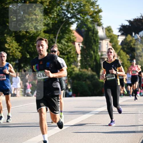 01.09.2024 - BARMER Alsterlauf Dr. Thomas Lammeyer http://msf.ph/oto/6894161 01.09.2024 09:29:40 Laufen 658, 4343, 4686 meine-sportfotos.de